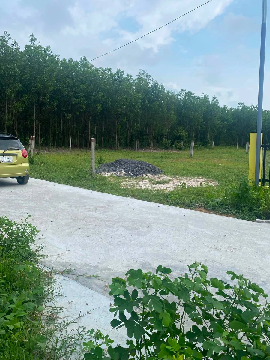 Bán lô đất 5x56 (280m²) Tân An Lagi, 700 triệu - Ảnh 1