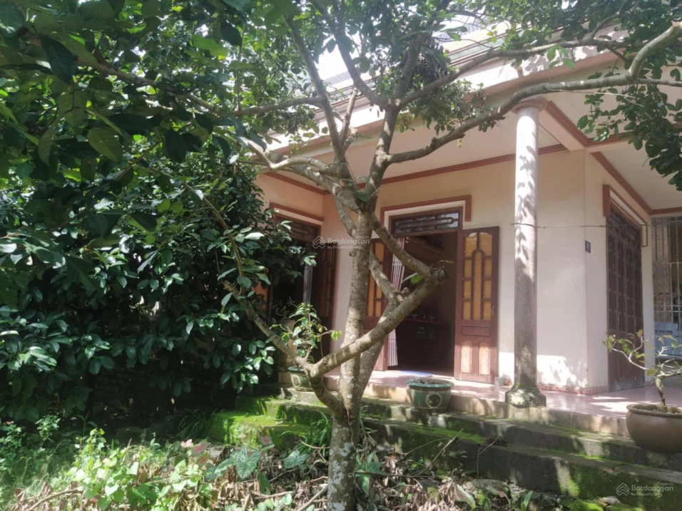 Nhà vườn siêu đẹp, nở hậu, mặt tiền đường Quốc Lộ 20 nối SG - Đà Lạt (Đạ Huoai - Lâm Đồng) - Ảnh thu nhỏ 3