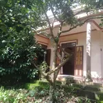 Nhà vườn siêu đẹp, nở hậu, mặt tiền đường Quốc Lộ 20 nối SG - Đà Lạt (Đạ Huoai - Lâm Đồng) - Ảnh thu nhỏ 3