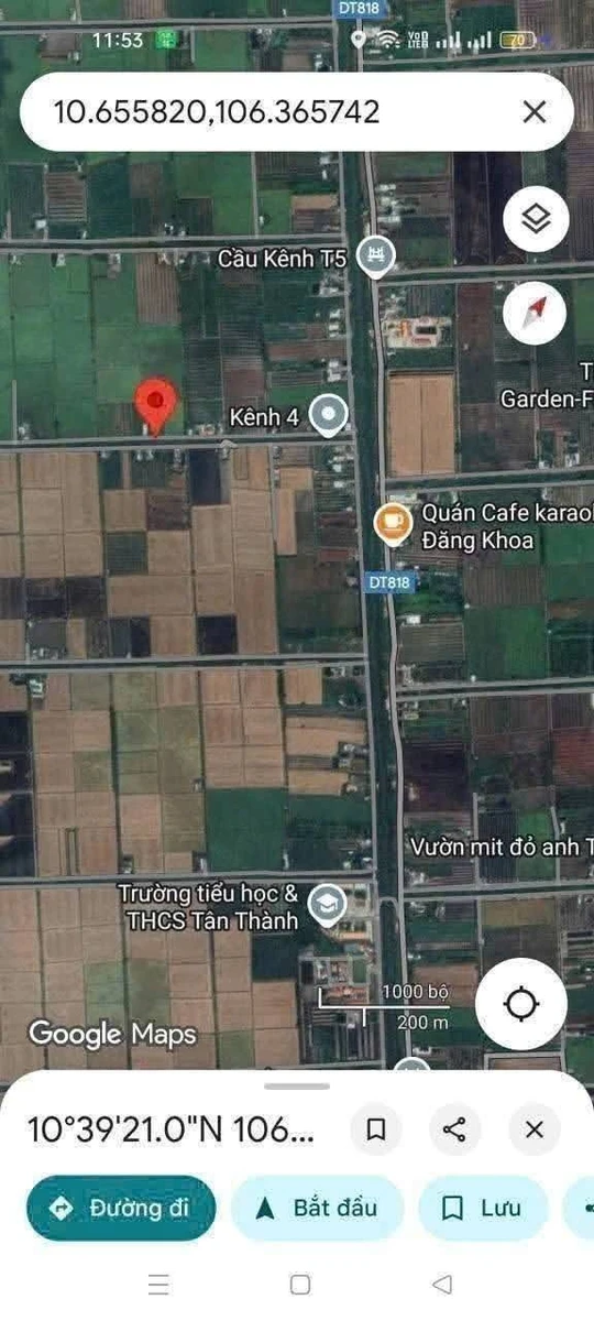 Bán đất thổ cư và lúa mặt tiền đường đê 1907m² Tân Thành - Ảnh 1