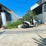 Bán gấp lô đất thổ cư 6x20m, sổ hồng riêng, đường bê tông 4m, giá 1,3 tỷ, Bình Tiền 1 - Ảnh thu nhỏ 1