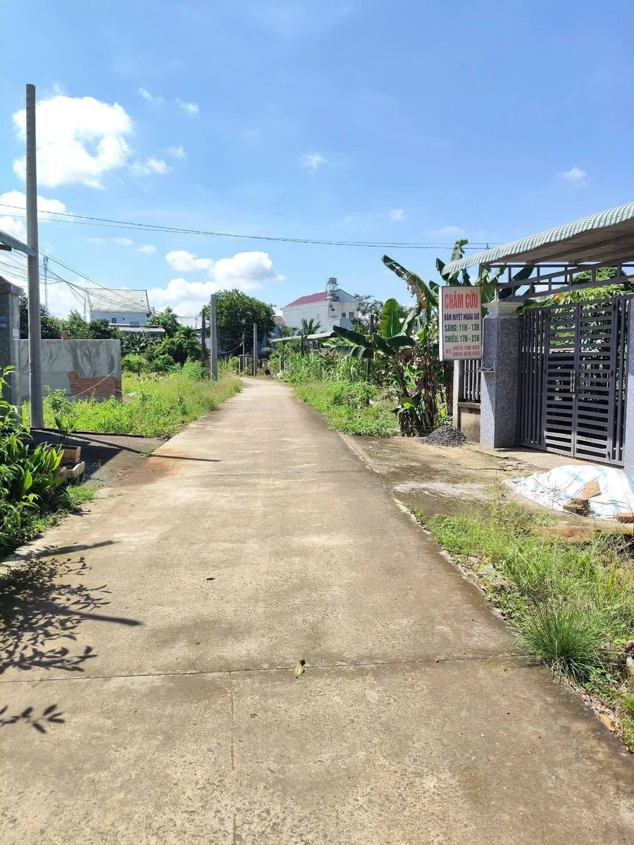 Bán đất 583m² gần chợ Cầu 2, Hóc Môn - Ảnh thu nhỏ 2