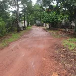 Bán đất 2 sào Củ Chi, mặt tiền, view suối, có cây ăn trái - Ảnh thu nhỏ 4