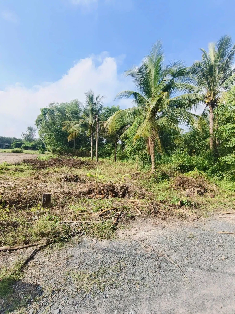Bán lỗ đất 50m² tại Tây Ninh giá 199 triệu - Ảnh thu nhỏ 3