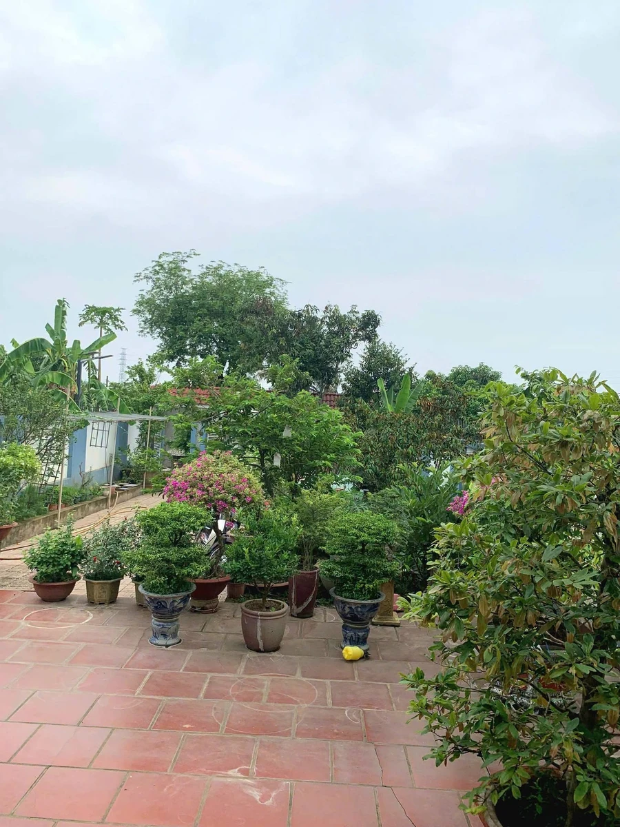 Bán nhà 3PN, 507m2, sân vườn, Trảng Bom, Đồng Nai - Ảnh thu nhỏ 3