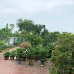Bán nhà 3PN, 507m2, sân vườn, Trảng Bom, Đồng Nai - Ảnh thu nhỏ 3