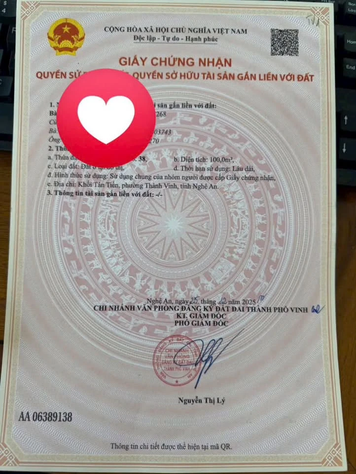 Bán tòa chung cư mini 2 mặt tiền 100m2 Thành phố Vinh - Ảnh thu nhỏ 3