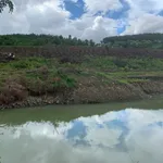Bán 5,7 ha đất vườn cà phê có sổ hồng tại xã Đăk Mil, Lâm Đồng giá 4,65 tỷ - Ảnh thu nhỏ 3