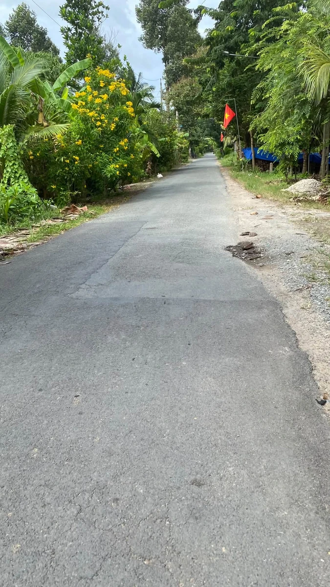 Bán đất vườn 1.800m2 ngang 21m tại xã Nhơn Thạnh, TP Bến Tre giá 1,25 tỷ - Ảnh thu nhỏ 3