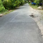Bán đất vườn 1.800m2 ngang 21m tại xã Nhơn Thạnh, TP Bến Tre giá 1,25 tỷ - Ảnh thu nhỏ 3