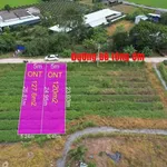 Bán đất thổ cư 120m² Tân Trụ Long An giá 350 triệu - Ảnh thu nhỏ 4