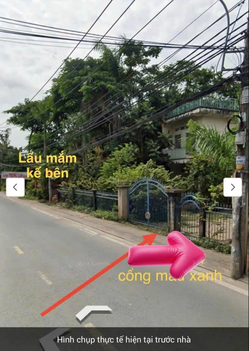 Bán gấp đất mặt tiền Long Thuận Long Phước 3.340m² sổ đỏ - Ảnh thu nhỏ 4