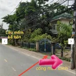 Bán gấp đất mặt tiền Long Thuận Long Phước 3.340m² sổ đỏ - Ảnh thu nhỏ 4
