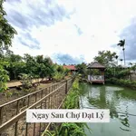 Bán nhà vườn hơn 1 sào 22x46m gần chợ Đạt Lý, Buôn Ma Thuột giá 3,9 tỷ - Ảnh thu nhỏ 2