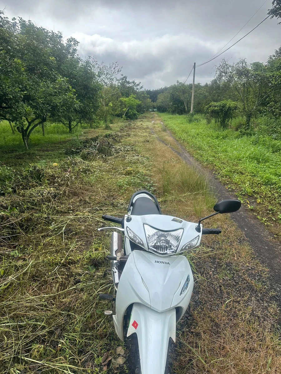 Bán đất trồng cây ăn trái 1 sào, Tân Đông, Hóc Môn - Ảnh 1
