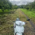 Bán đất trồng cây ăn trái 1 sào, Tân Đông, Hóc Môn - Ảnh thu nhỏ 1