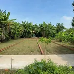 Bán 2 nền đất thổ cư mặt tiền Huỳnh Thị Lương, Tây Ninh 112,5m² - Ảnh thu nhỏ 3