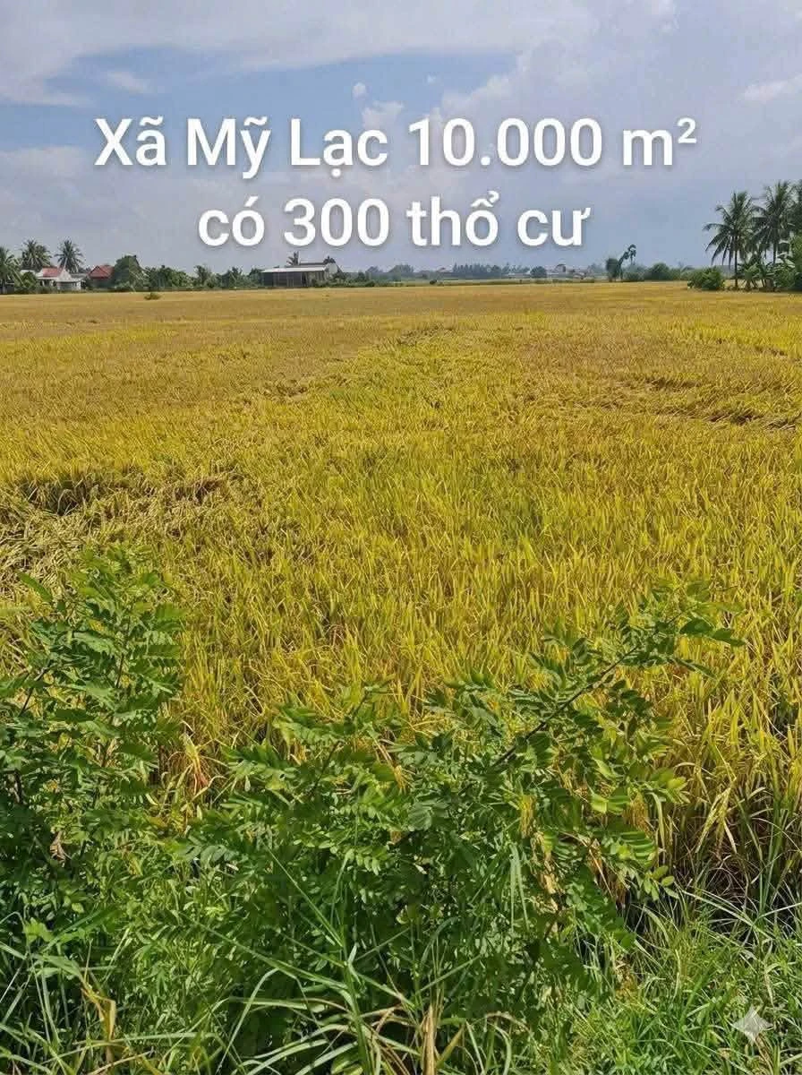Bán đất lúa 10.000m² có 300m² thổ cư Long An - Ảnh 1