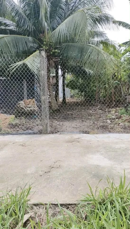 Bán đất nền Phú Hưng Phú Khương Bến Tre 147m² - Ảnh thu nhỏ 3