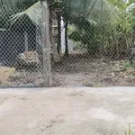 Bán đất nền Phú Hưng Phú Khương Bến Tre 147m² - Ảnh thu nhỏ 3