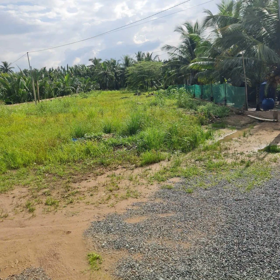 Bán đất mặt tiền Quốc Lộ 60, An Thạnh, Bến Tre, 1510m² - Ảnh thu nhỏ 3