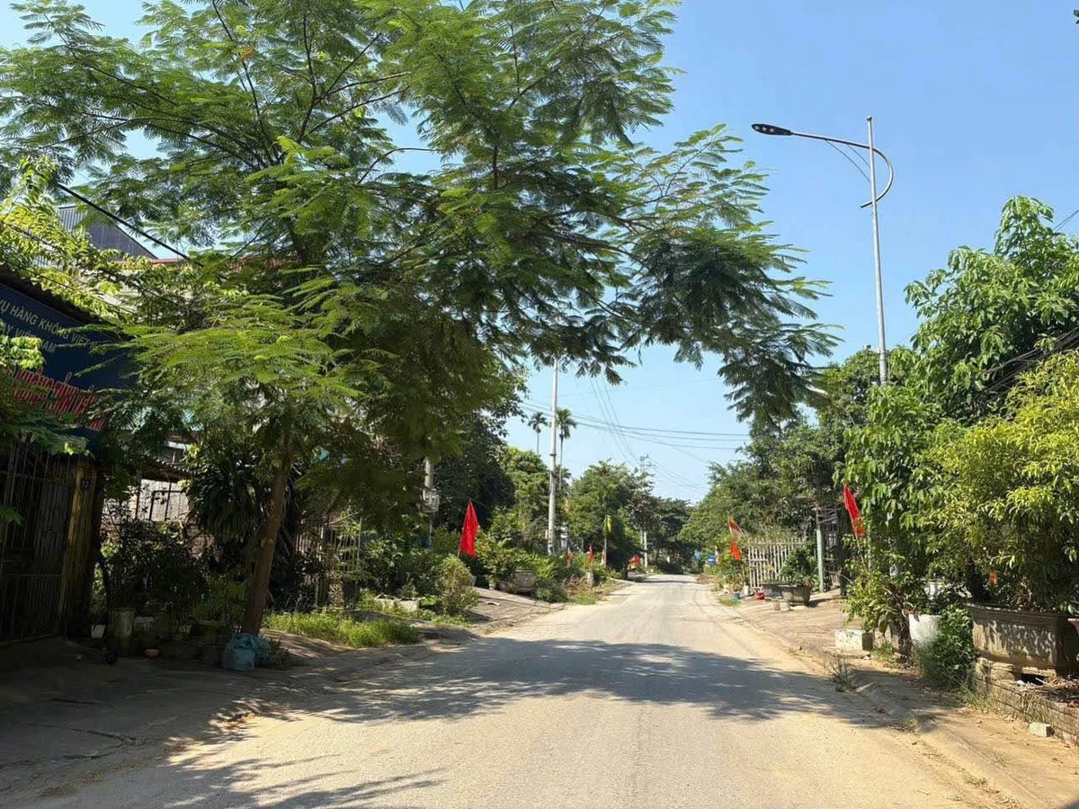 Bán đất mặt đường 7C Yên Bình, 64.5m², 600 triệu - Ảnh 1