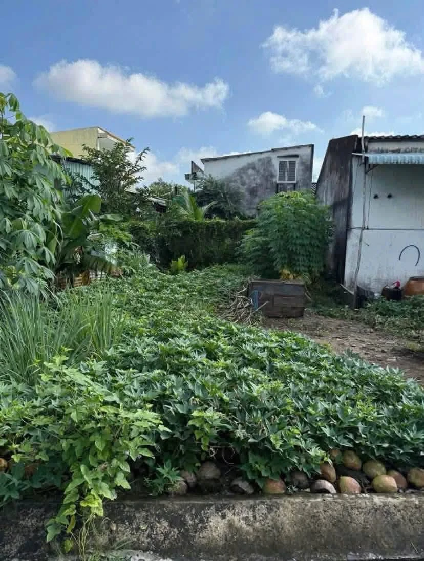 Bán đất thổ cư 94,8m2 giá 1 tỷ trung tâm TP Tân An, Long An - Ảnh thu nhỏ 3