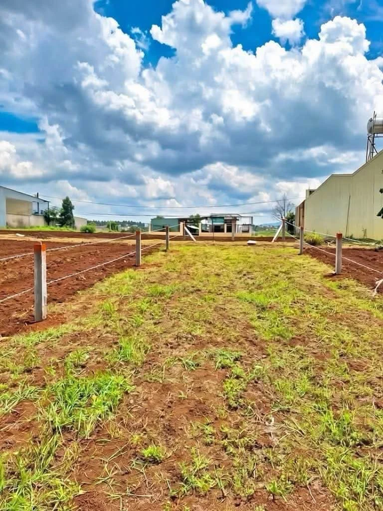Bán đất hẻm Lý Thường Kiệt 135m² Quận 1 - Ảnh thu nhỏ 3