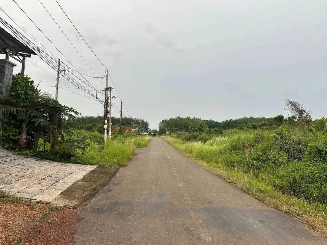 Bán đất Trục chính Câu Cá Anh Thư, 100 m², 1,05 tỷ - Ảnh thu nhỏ 2