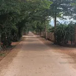 Bán lô đất 450m Đăk Đoa, Gia Lai khu dân cư đông đúc, 300m đến đường Quốc lộ 19B - Ảnh thu nhỏ 4