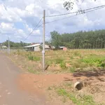 Bán đất 5000m² mặt tiền, Bình Tân, 590 triệu - Ảnh thu nhỏ 2
