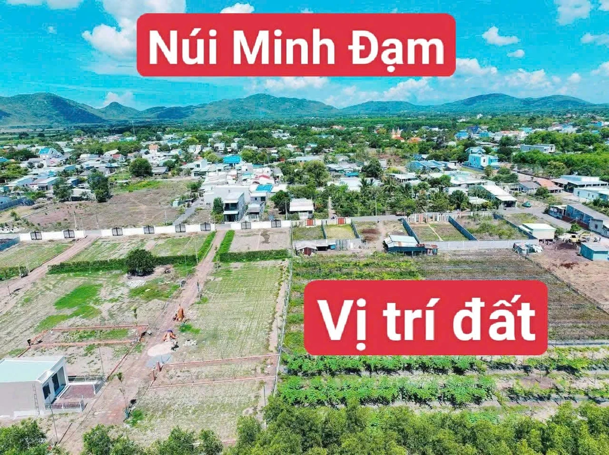 Bán đất gần biển Phước Hải 5.337m² giá 15 tỷ - Ảnh thu nhỏ 3