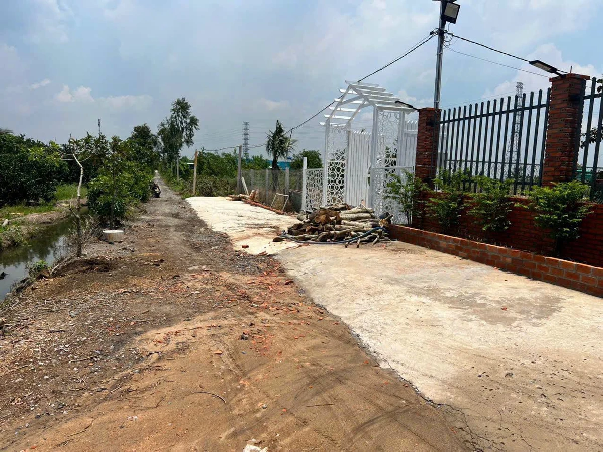 Bán 1 công đất vườn 850 triệu Bình Đức Bến Lức - Ảnh thu nhỏ 3