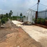 Bán 1 công đất vườn 850 triệu Bình Đức Bến Lức - Ảnh thu nhỏ 3