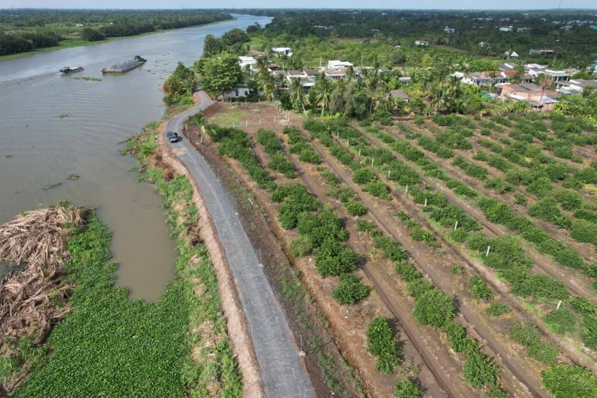 Bán đất vườn 690m² view sông Vàm Cỏ Đông Thạnh Lợi - Ảnh thu nhỏ 3