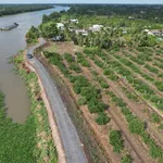 Bán đất vườn 690m² view sông Vàm Cỏ Đông Thạnh Lợi - Ảnh thu nhỏ 3