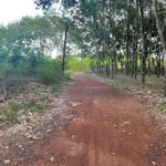 Sang nhượng 2,4 mẫu đất vườn sầu riêng có nhà cấp 4 tại Trị An, Đồng Nai giá 5 tỷ - Ảnh thu nhỏ 3