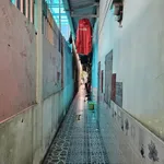 Bán nhà mặt tiền Dĩ An 198.6m² 7 phòng cho thuê 6.55 tỷ - Ảnh thu nhỏ 4