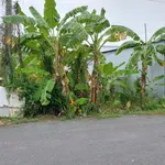 Bán đất mặt tiền đường 19/5, 430m² gần chợ Nhơn Thạnh - Ảnh thu nhỏ 4