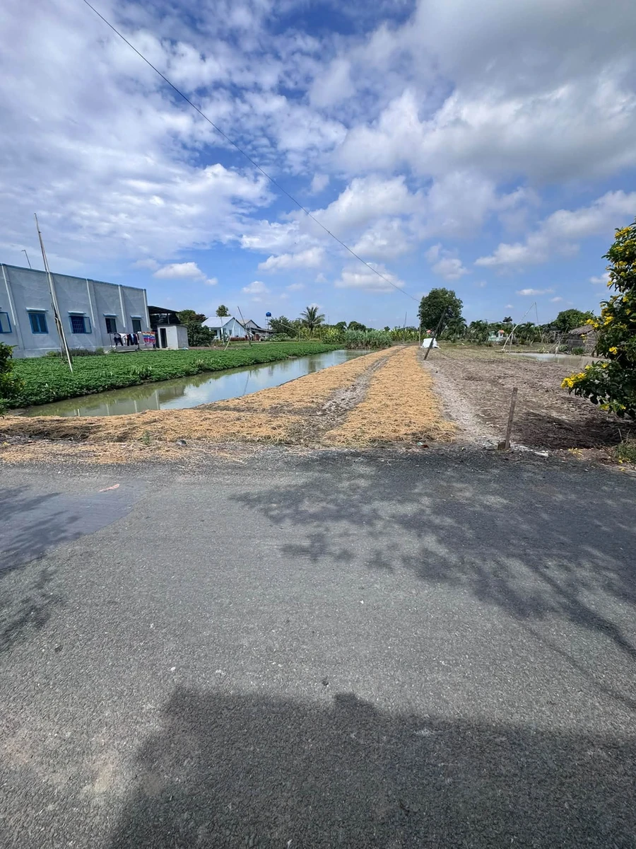Bán đất lúa 1000m² mặt tiền đường Phạm Thị Kiều, Xã Phước Lý, Củ Chi - Ảnh thu nhỏ 4
