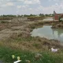 Bán đất tại Quản lộ Phụng Hiệp cách trung tâm hành chính xã 400m - Ảnh thu nhỏ 7