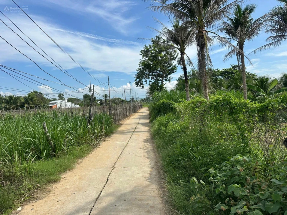 Bán 1552m2 đất vườn có nhà - Lương Cang, Đông Vinh - Phan Rang - 990tr bao sổ - Ảnh thu nhỏ 4