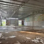 Cho thuê xưởng 1000m2 Tân An Vĩnh Cửu 20 triệu/tháng - Ảnh thu nhỏ 2