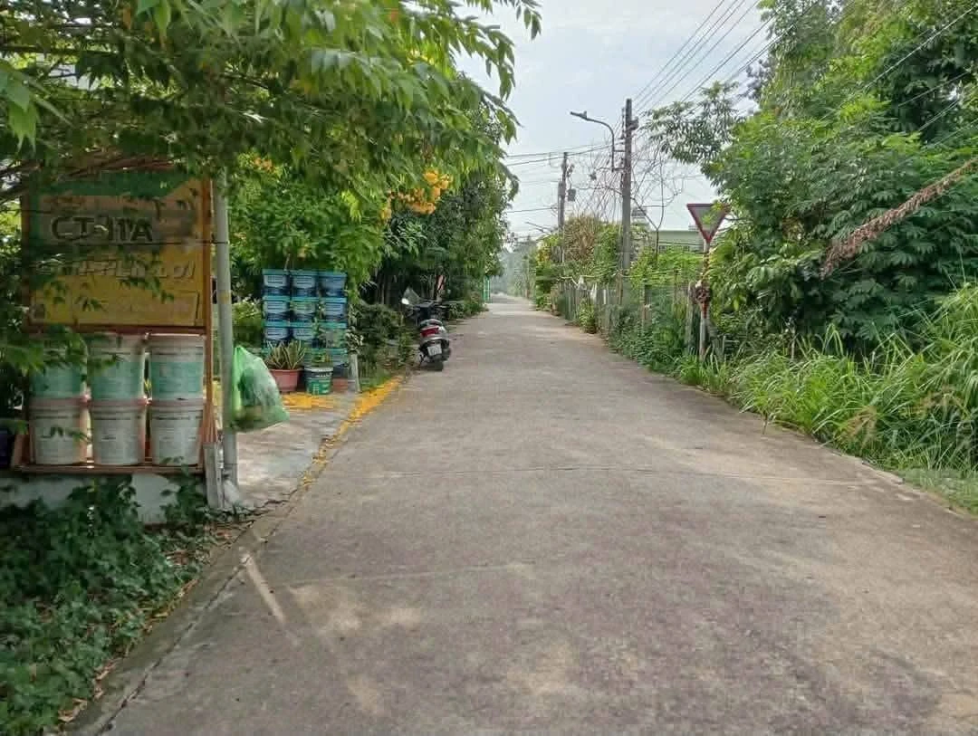 Bán đất thổ cư 100m2 đường nhánh Bà 39, Phú An giá 1,45 tỷ - Ảnh thu nhỏ 2