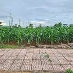 Bán đất tái định cư TDP 12 Buôn Ma Thuột 132m² thổ cư full - Ảnh thu nhỏ 1