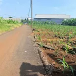 Bán lô đất thổ cư 5x21m sổ riêng giá 390 triệu gần ngã tư Tân Lập, Bàu Hàm - Ảnh thu nhỏ 2