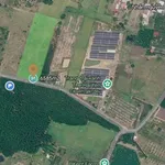 Bán lô đất Diên Tân 6.585m² thích hợp làm farm - Ảnh thu nhỏ 1