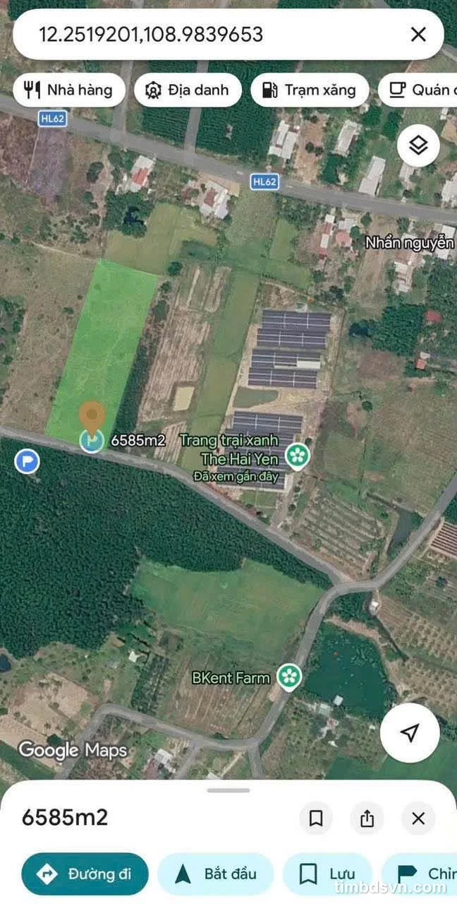 Bán lô đất Diên Tân 6.585m² thích hợp làm farm - Ảnh 1