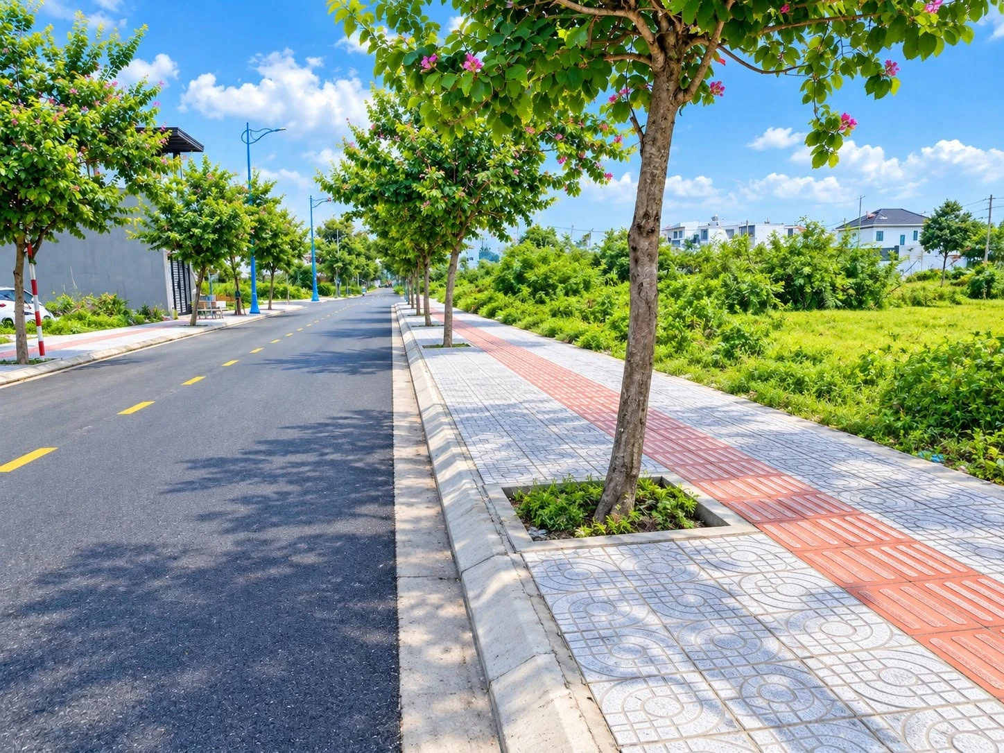 Đất bán Tái định cư Hòa Long 105m² giá 2 tỷ 300 - Ảnh 1