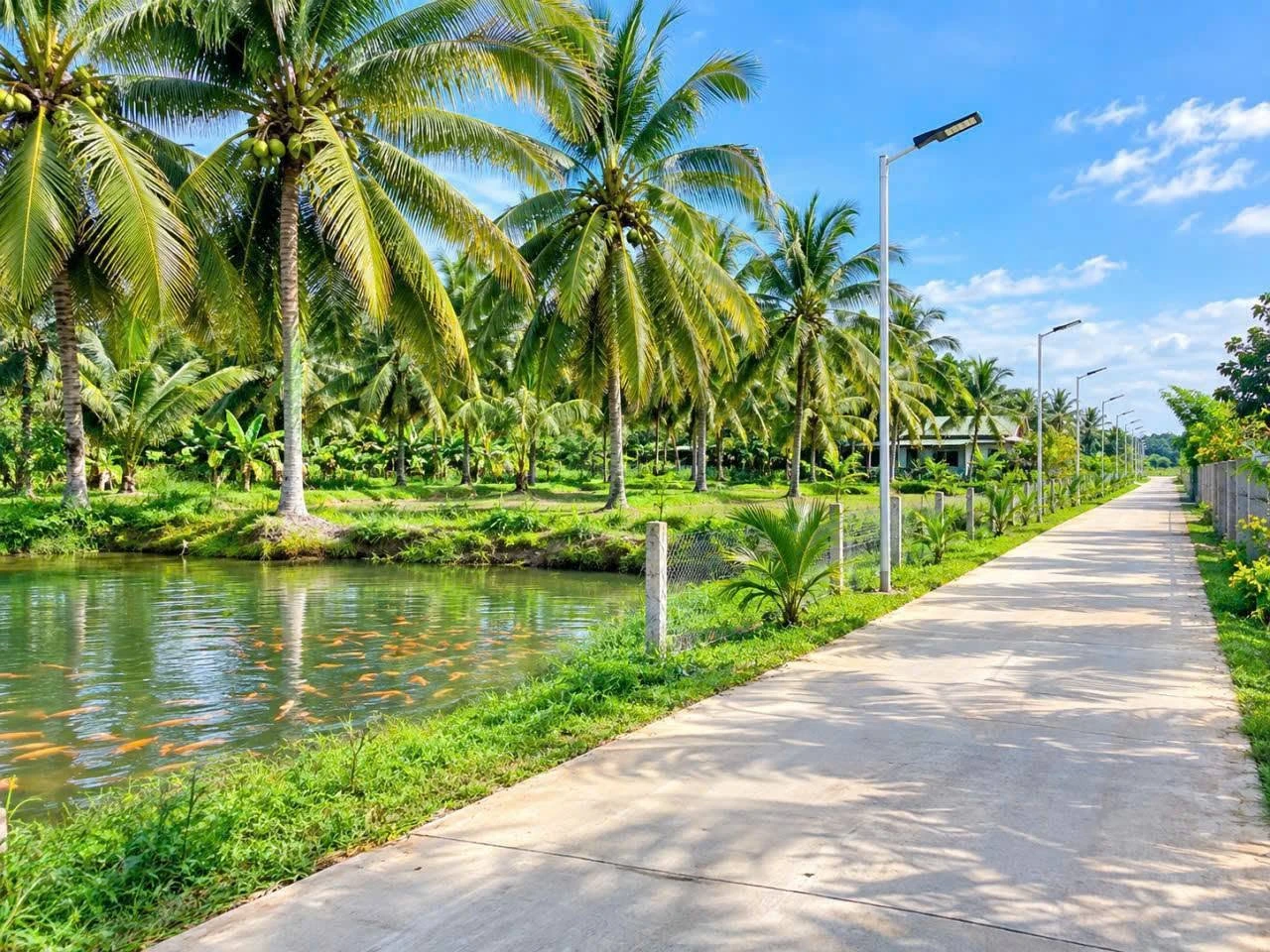 Bán đất 1.000m² mặt tiền bê tông 37m, view núi, giáp ranh Bảo Vinh, Long Khánh - Ảnh 1